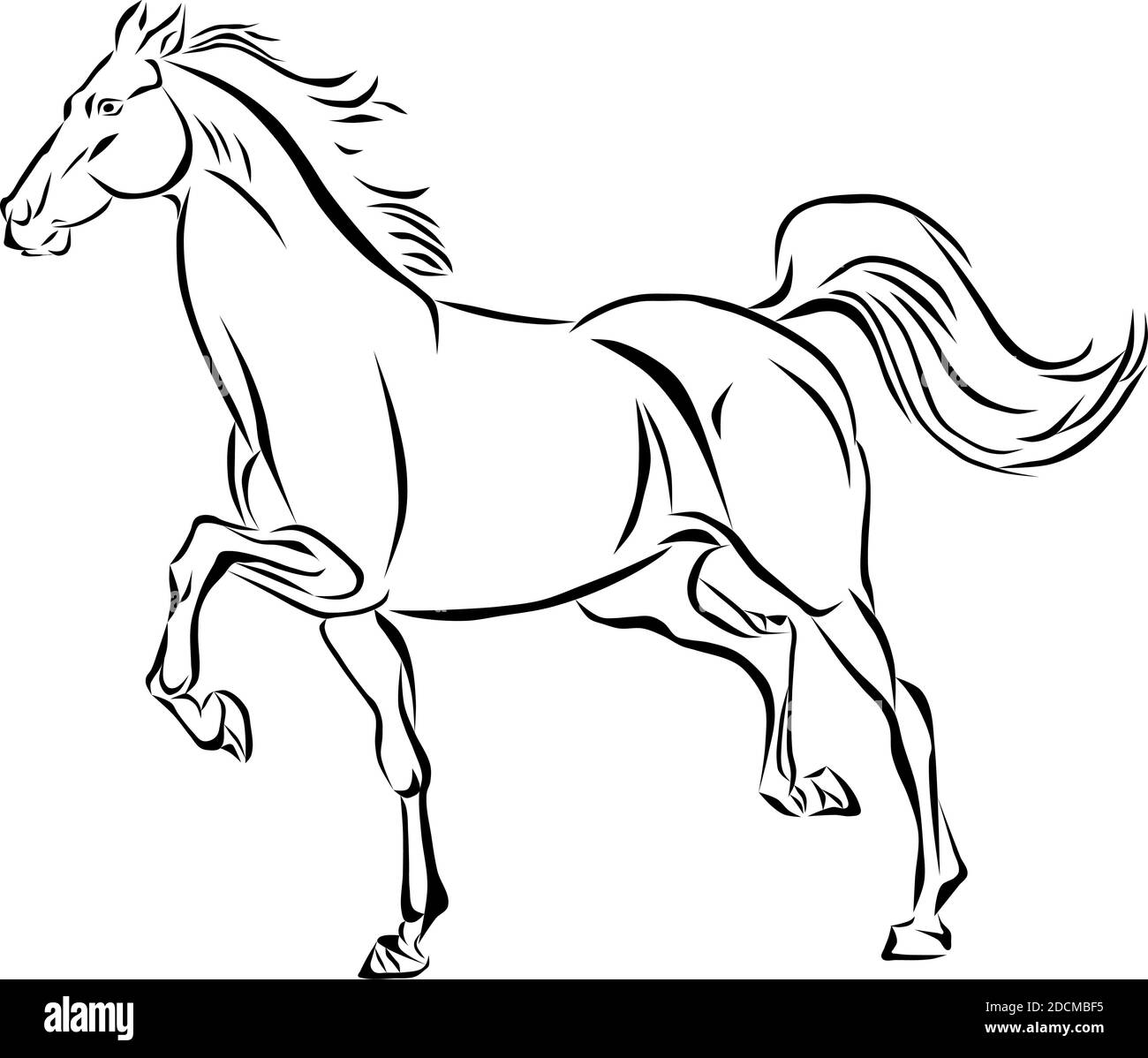 vector of a galloping horse Stock Vector Image & Art Alamy