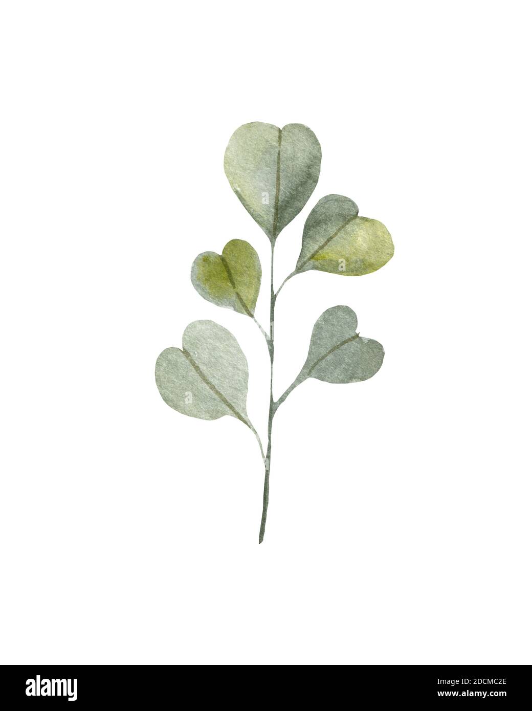 Elegant floral background with leaves and branches. watercolor drawing ...
