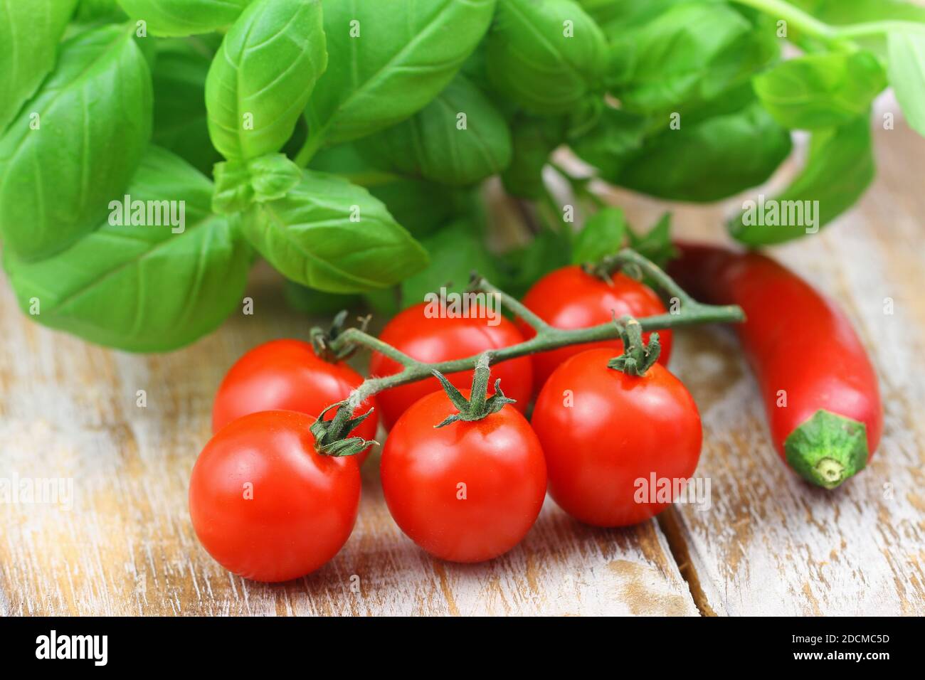 Ingredients for perfect pasta: ripe cherry tomatoes, fresh basil leaves and chilli on rustic wooden surface Stock Photo