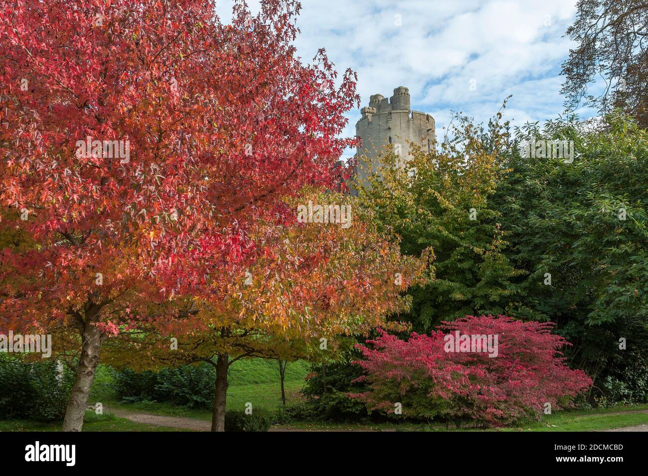 A glimpse of one of the Arundel Castle towers, from the Castle gardens, Arundel, West Sussex, England, UK: American sweetgum (Liquidambar styraciflua) Stock Photo