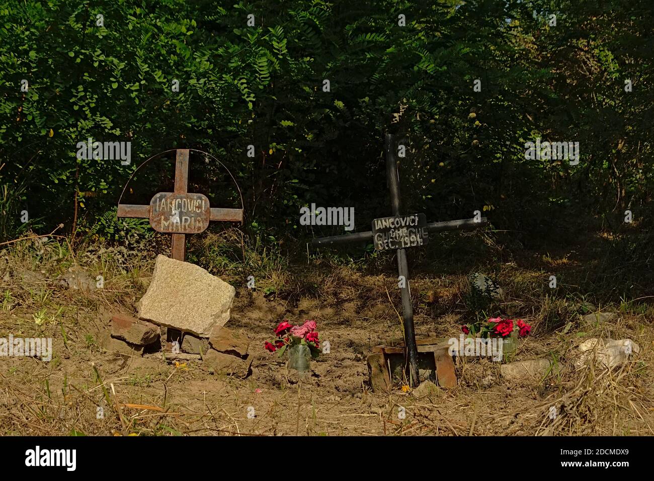 Transylvania Roses Iron crosses and roses with trees behind in the Transylvanian ...