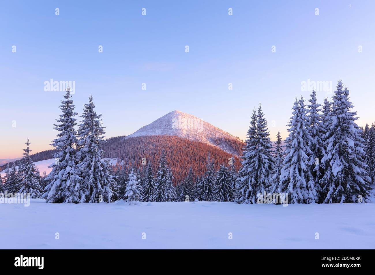 High mountains with snow white peaks. Winter forest. A panoramic view ...