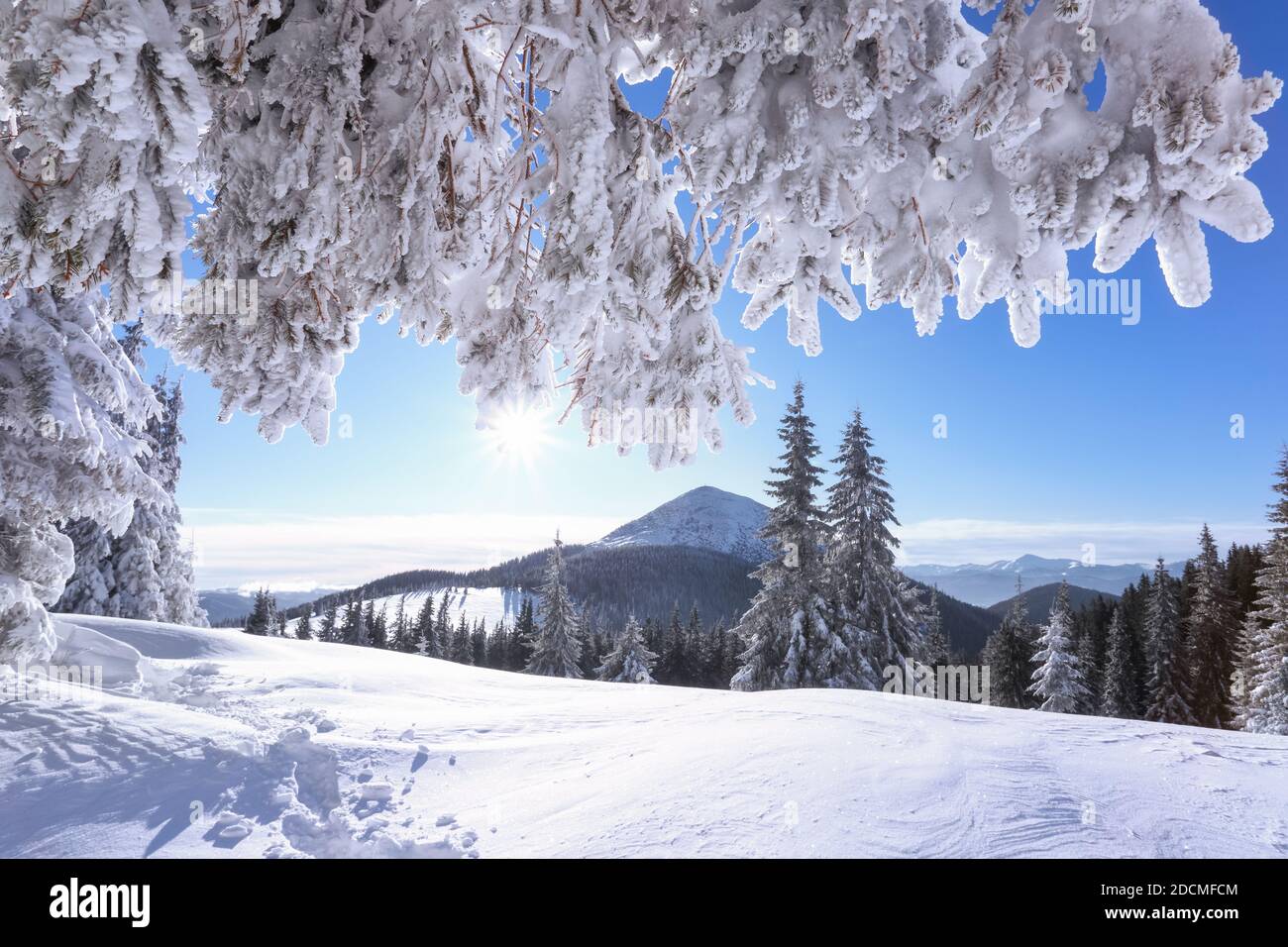 High mountains with snow white peaks. Winter forest. A panoramic view ...