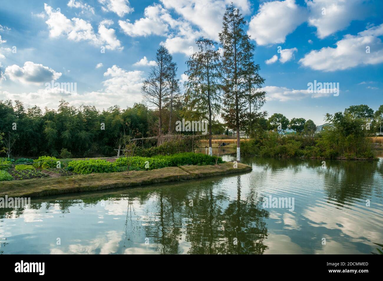 A rural scene along a waterway in Shanghai’s Pudong New Area. Stock Photo
