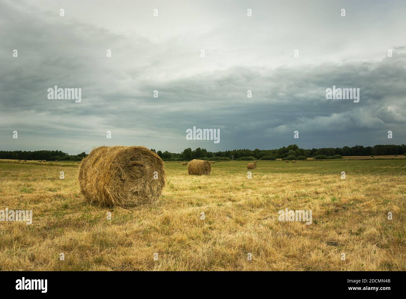 Hay bales in the field and the coming grey rain clouds Stock Photo - Alamy