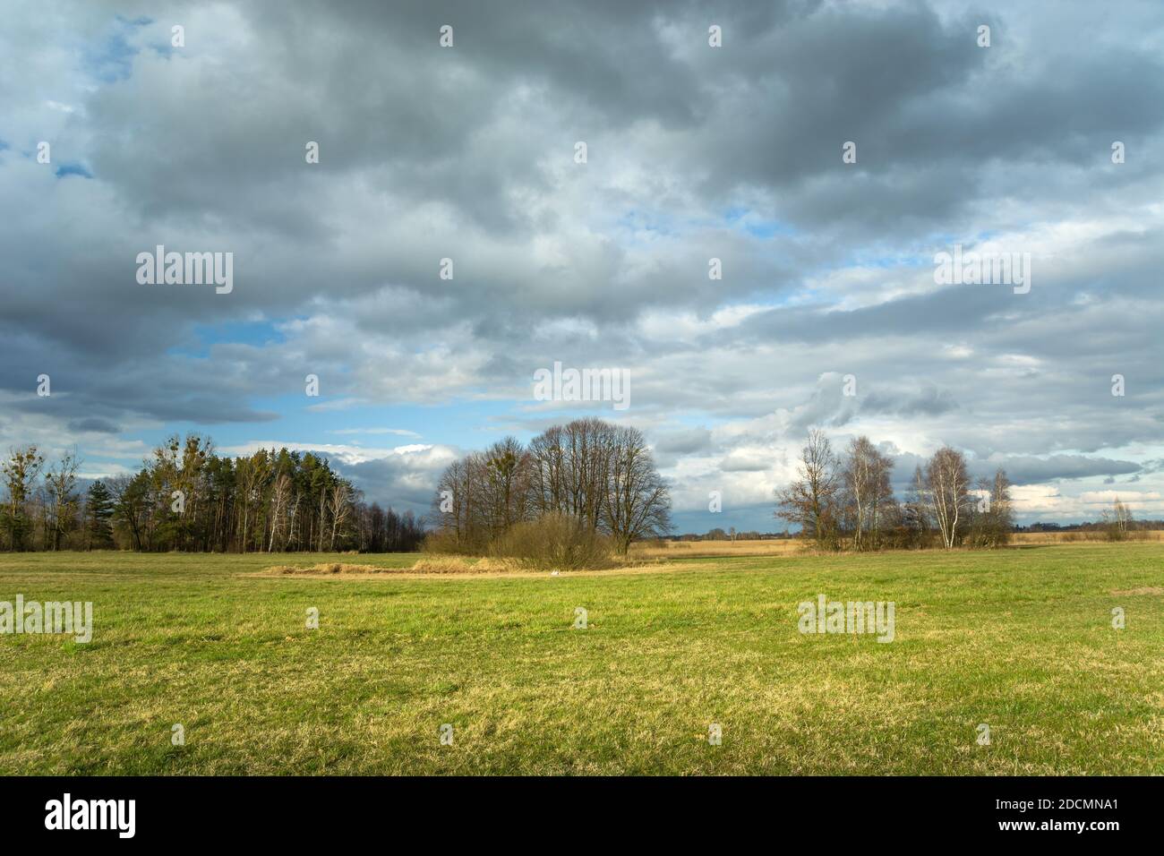 Green meadow trees hi-res stock photography and images - Alamy