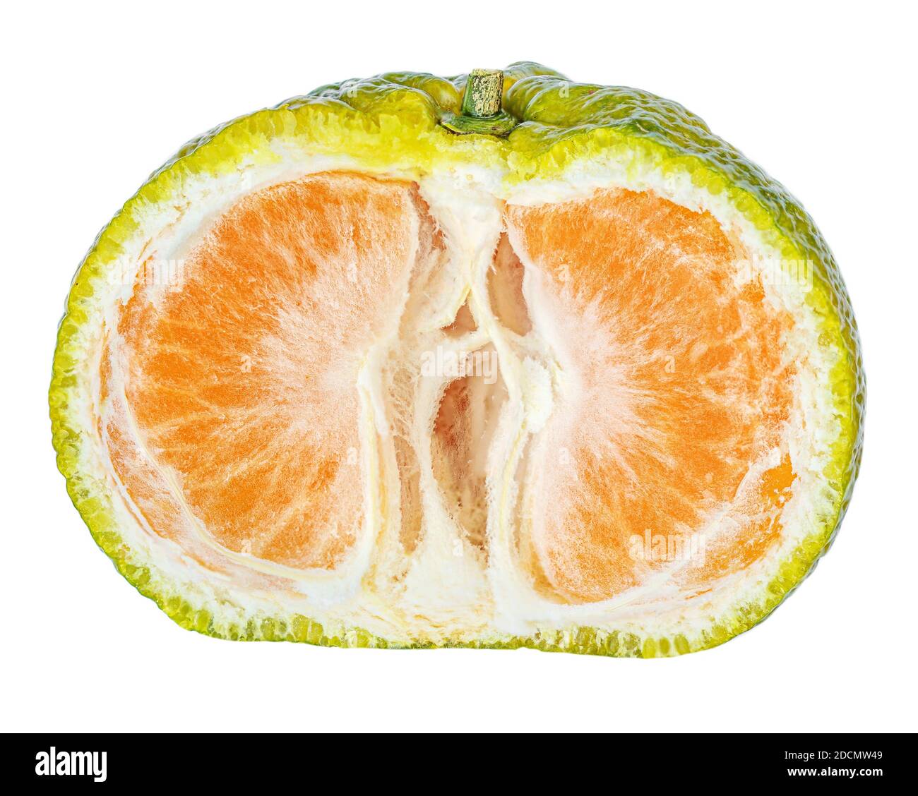 One half Tangerine or clementine fruit  slice with citrus peel  isolated on white background Stock Photo