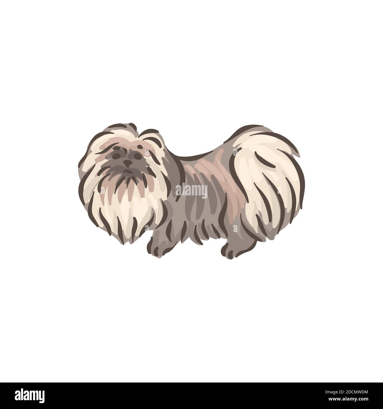 Cute dog Pekinese breed pedigree vector illustration Stock Vector Image ...