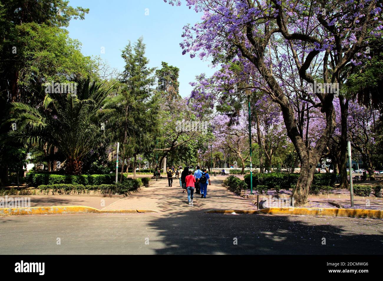 Park in Polanco district, Mexico city Stock Photo Alamy