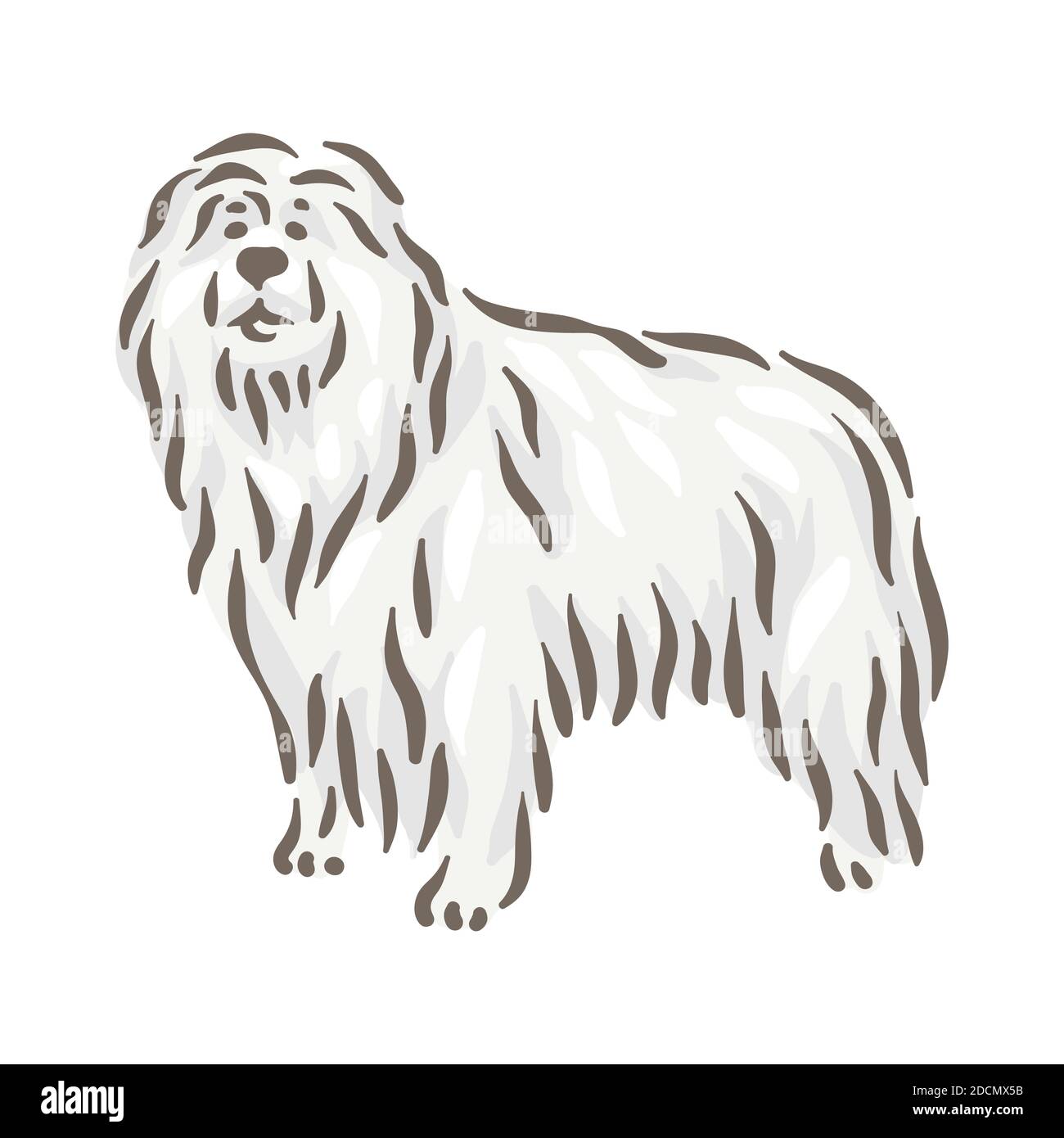 Cute dog Komondor breed pedigree vector illustration Stock Vector Image ...