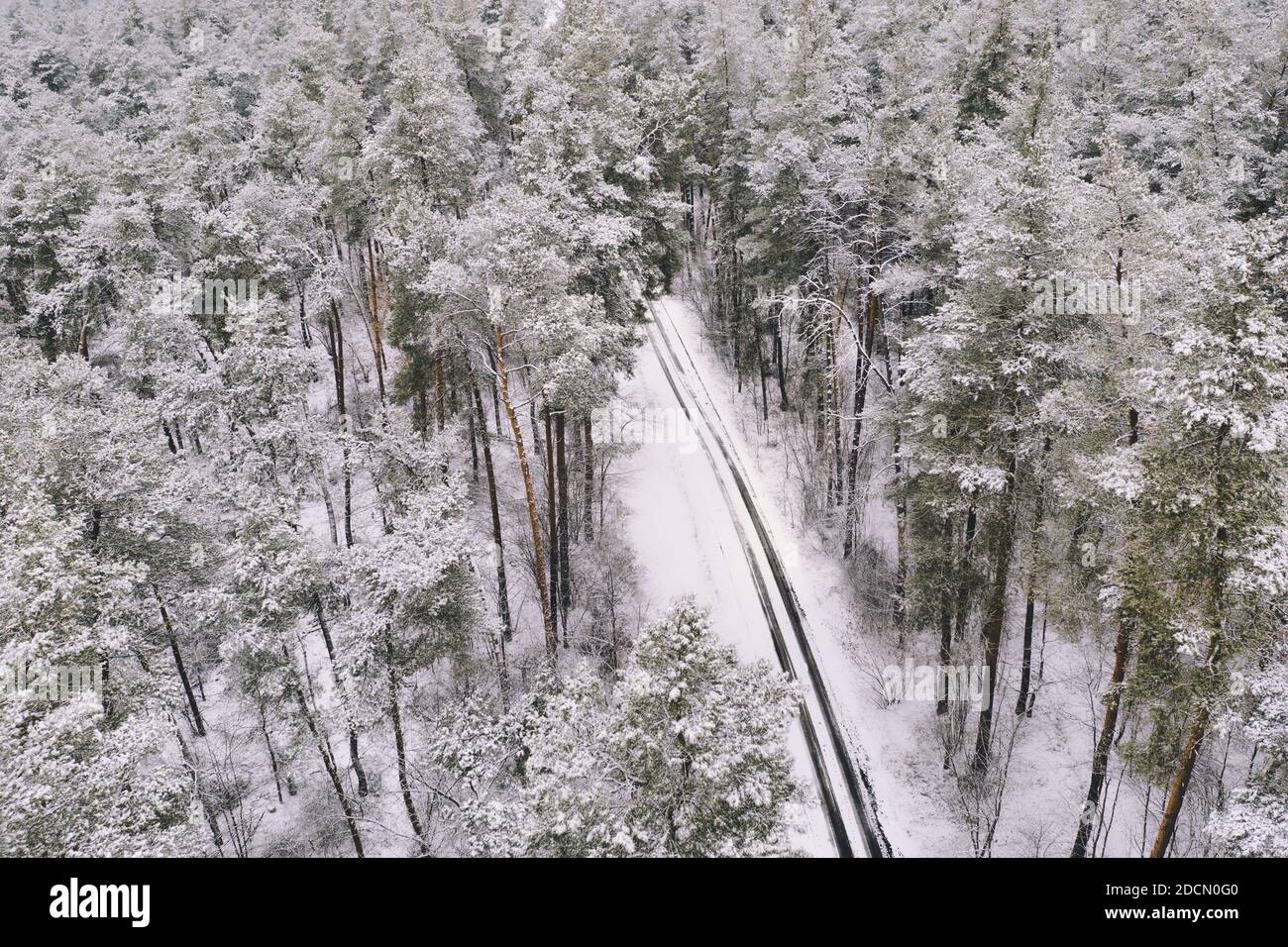 Aerial view snowy pine forest hi-res stock photography and images - Alamy