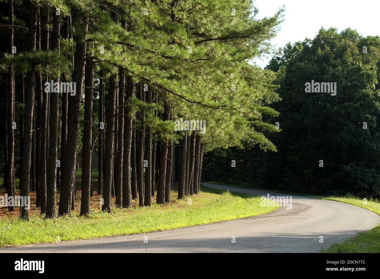 Unmarked road in rural Virginia, USA Stock Photo