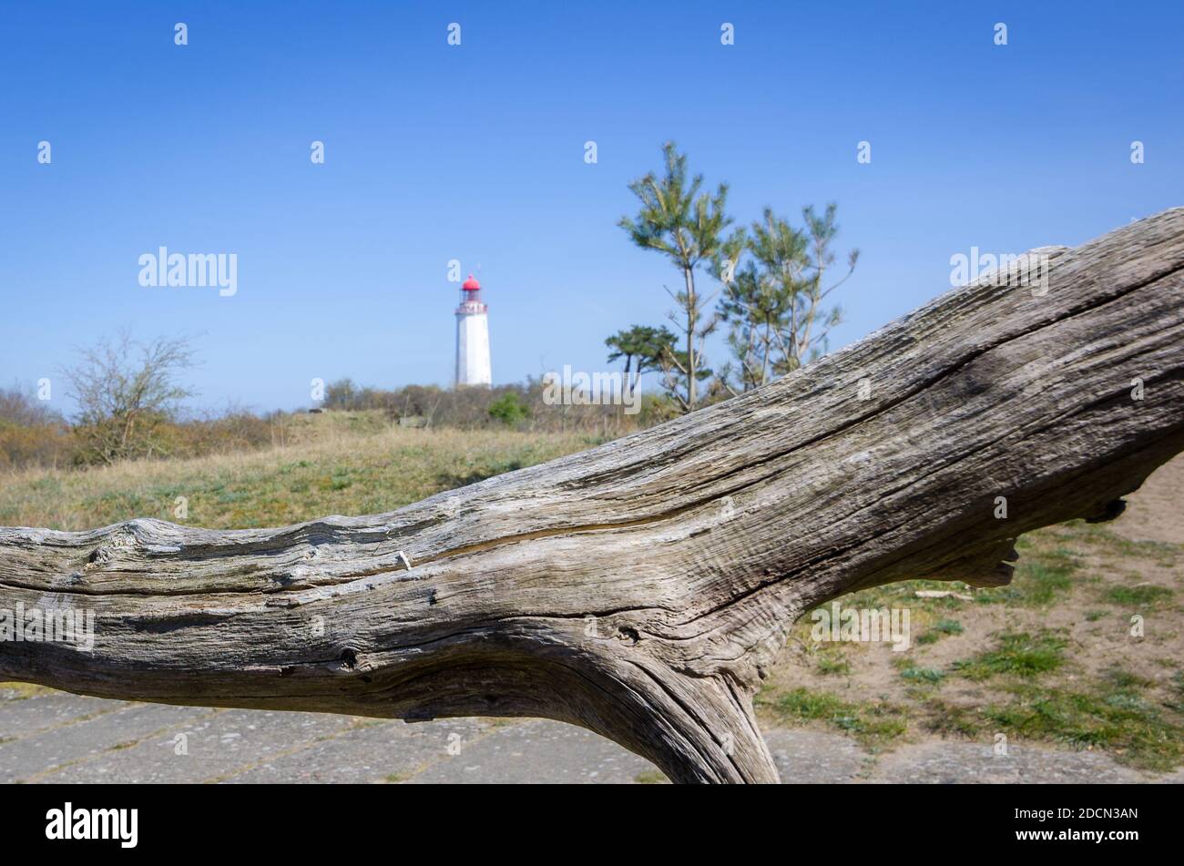 A tree trunk on the background of Lighthouse Dornbusch on the island Hiddensee Stock Photo