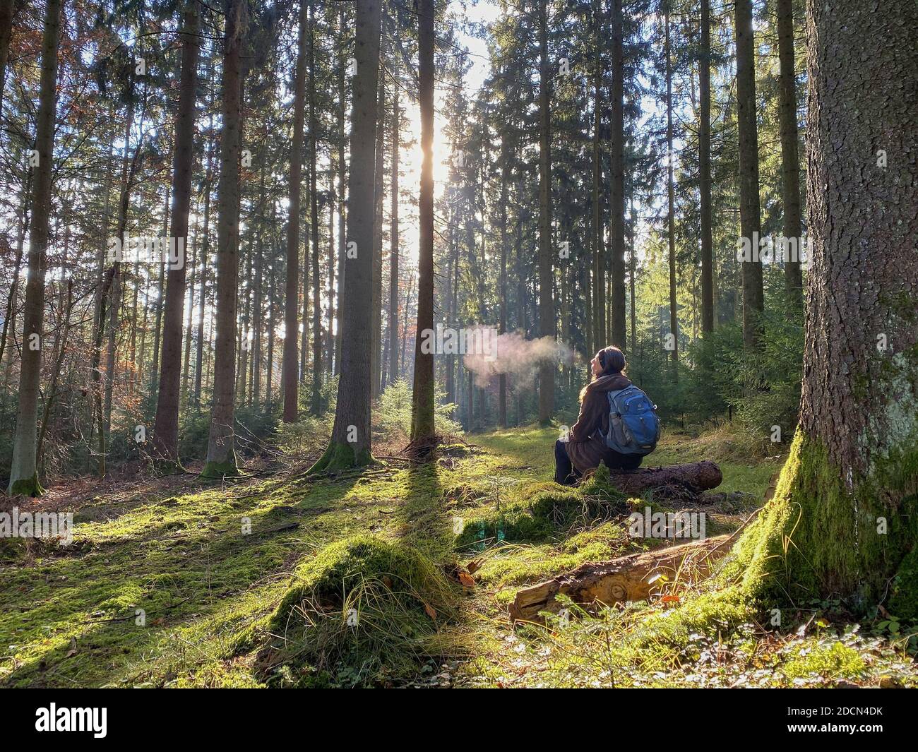 A woman is walking through the forest in autumn, forest bathing, or shinrin-yoku on November 22, 2020 in Pfaffenhofen a.d.Ilm, Bavaria, Germany. Forest bath – has the power to counter illnesses including cancer, strokes, gastric ulcers, depression. The term emerged in Japan in the 1980s as a physiological and psychological exercise called shinrin-yoku (“forest bathing” or “taking in the forest). © Peter Schatz / Alamy Stock Photos MODEL RELEASED Stock Photo