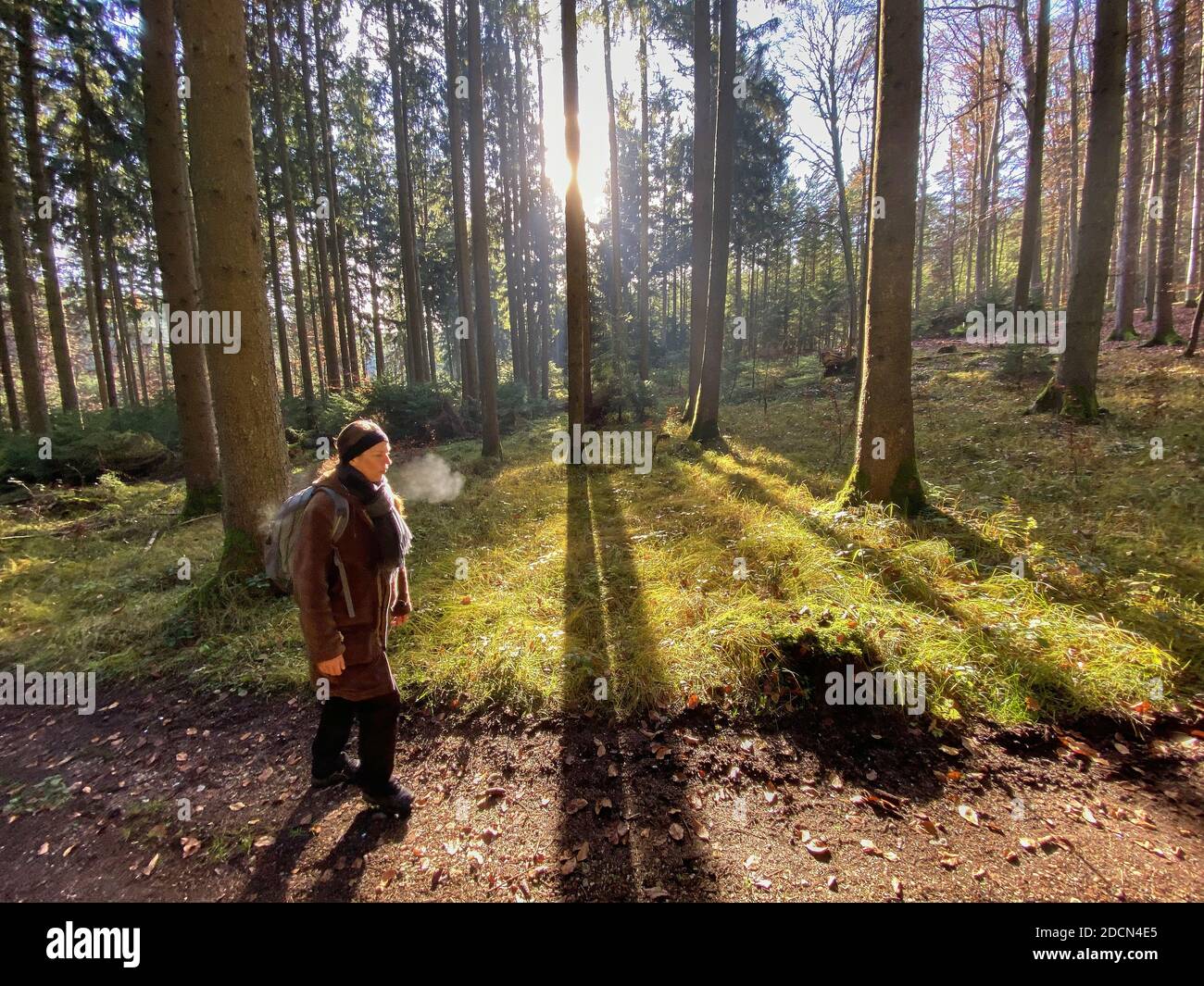 A woman is walking through the forest in autumn, forest bathing, or shinrin-yoku on November 22, 2020 in Pfaffenhofen a.d.Ilm, Bavaria, Germany. Forest bath – has the power to counter illnesses including cancer, strokes, gastric ulcers, depression. The term emerged in Japan in the 1980s as a physiological and psychological exercise called shinrin-yoku (“forest bathing” or “taking in the forest). © Peter Schatz / Alamy Stock Photos MODEL RELEASED Stock Photo