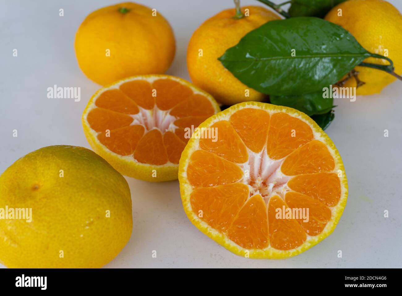 Tangerine cut in half on a white background Stock Photo Alamy