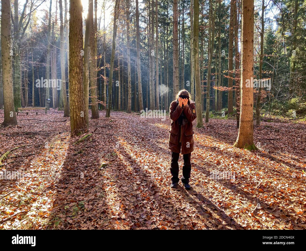 A woman is walking through the forest in autumn, forest bathing, or shinrin-yoku on November 22, 2020 in Pfaffenhofen a.d.Ilm, Bavaria, Germany. Forest bath – has the power to counter illnesses including cancer, strokes, gastric ulcers, depression. The term emerged in Japan in the 1980s as a physiological and psychological exercise called shinrin-yoku (“forest bathing” or “taking in the forest). © Peter Schatz / Alamy Stock Photos MODEL RELEASED Stock Photo