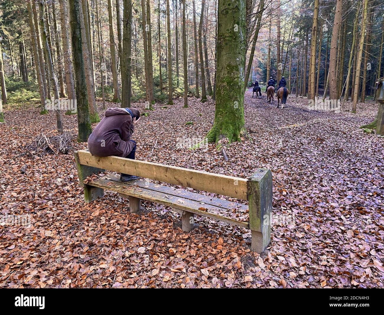 A woman is walking through the forest in autumn, forest bathing, or shinrin-yoku on November 22, 2020 in Pfaffenhofen a.d.Ilm, Bavaria, Germany. Forest bath – has the power to counter illnesses including cancer, strokes, gastric ulcers, depression. The term emerged in Japan in the 1980s as a physiological and psychological exercise called shinrin-yoku (“forest bathing” or “taking in the forest). © Peter Schatz / Alamy Stock Photos MODEL RELEASED Stock Photo