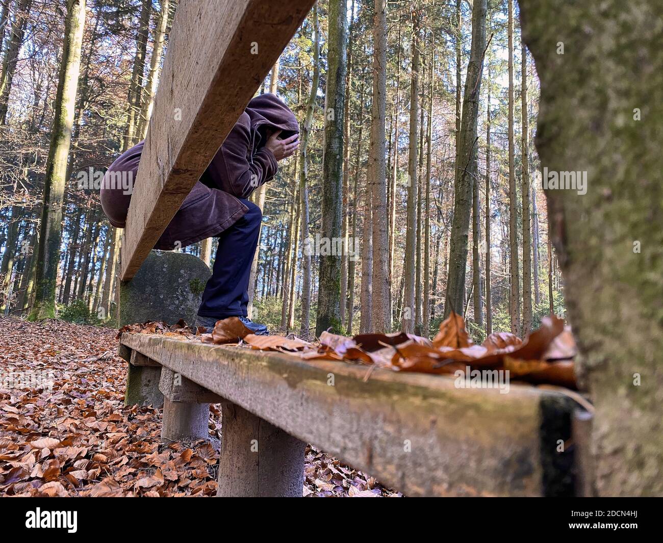 A woman is walking through the forest in autumn, forest bathing, or shinrin-yoku  on November 22, 2020 in Pfaffenhofen a.d.Ilm, Bavaria, Germany. Forest bath – has the power to counter illnesses including cancer, strokes, gastric ulcers, depression. The term emerged in Japan in the 1980s as a physiological and psychological exercise called shinrin-yoku (“forest bathing” or “taking in the forest). © Peter Schatz / Alamy Stock Photos  MODEL RELEASED Stock Photo
