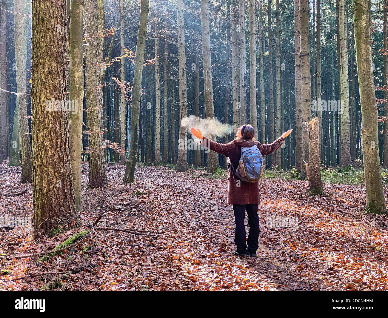 A woman is walking through the forest in autumn, forest bathing, or shinrin-yoku on November 22, 2020 in Pfaffenhofen a.d.Ilm, Bavaria, Germany. Forest bath – has the power to counter illnesses including cancer, strokes, gastric ulcers, depression. The term emerged in Japan in the 1980s as a physiological and psychological exercise called shinrin-yoku (“forest bathing” or “taking in the forest). © Peter Schatz / Alamy Stock Photos MODEL RELEASED Stock Photo