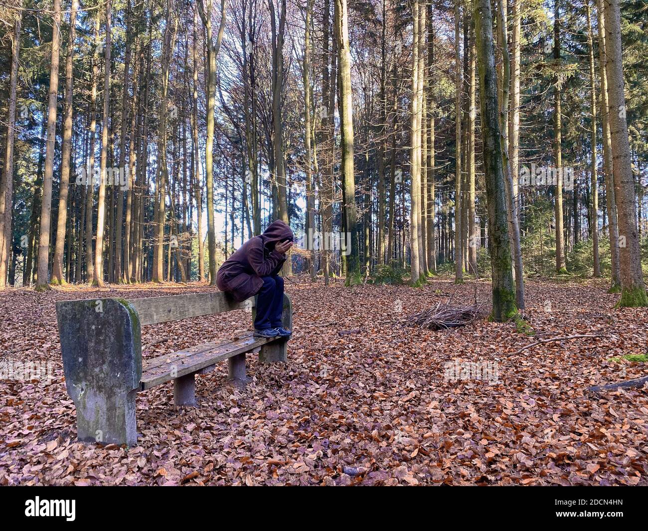 A woman is walking through the forest in autumn, forest bathing, or shinrin-yoku on November 22, 2020 in Pfaffenhofen a.d.Ilm, Bavaria, Germany. Forest bath – has the power to counter illnesses including cancer, strokes, gastric ulcers, depression. The term emerged in Japan in the 1980s as a physiological and psychological exercise called shinrin-yoku (“forest bathing” or “taking in the forest). © Peter Schatz / Alamy Stock Photos MODEL RELEASED Stock Photo