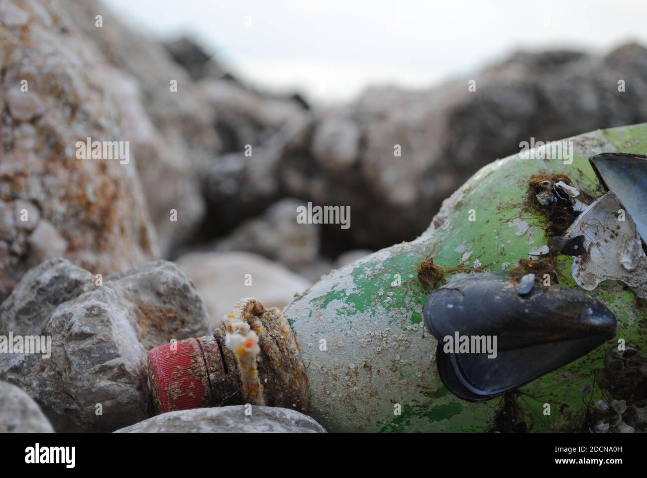 message in a bottle in an old overgrown green bottle with red lid, with mussels and seaweed at a rocky beach Stock Photo