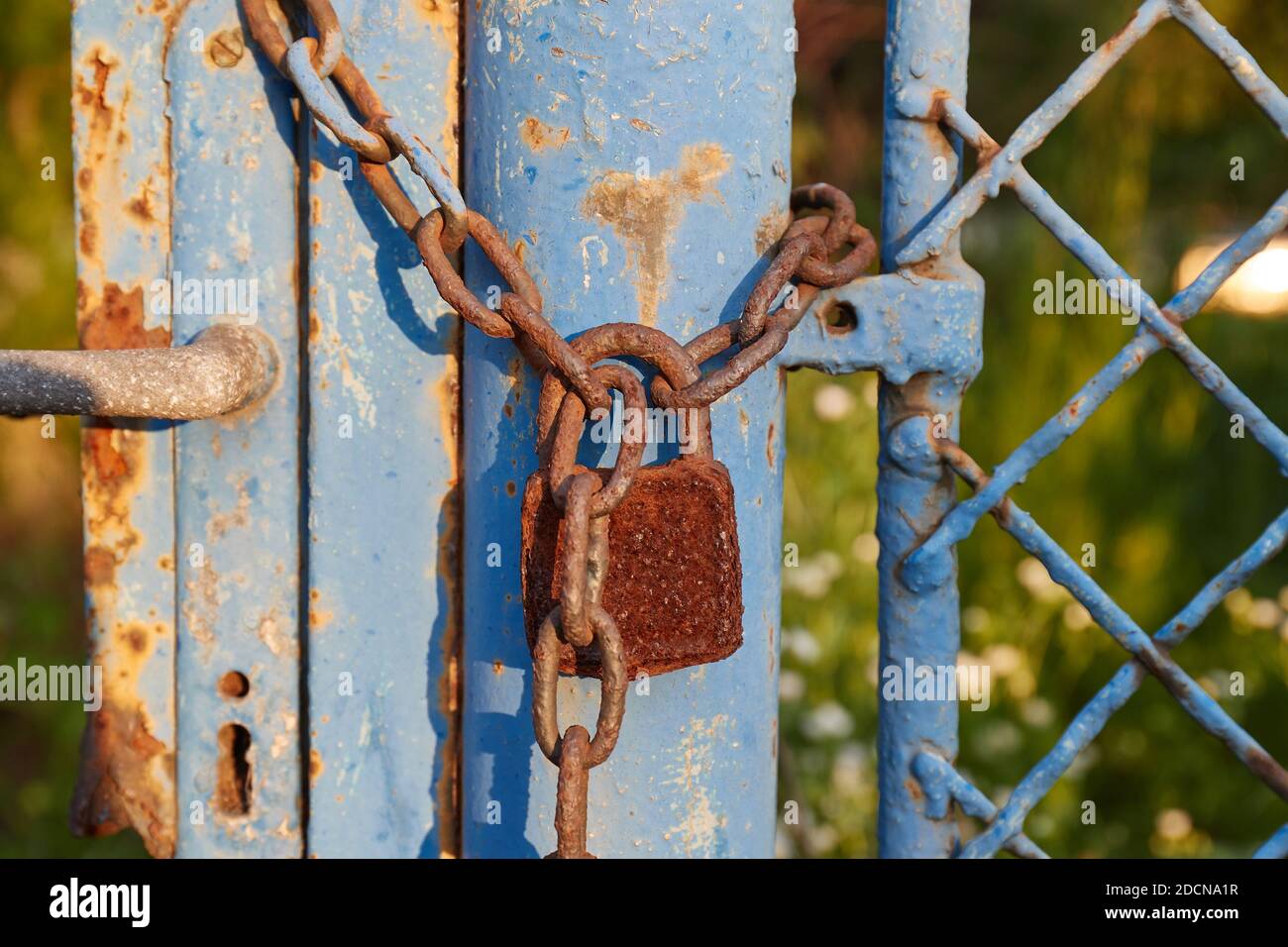 Old gate with padlock and chain Stock Photo Alamy