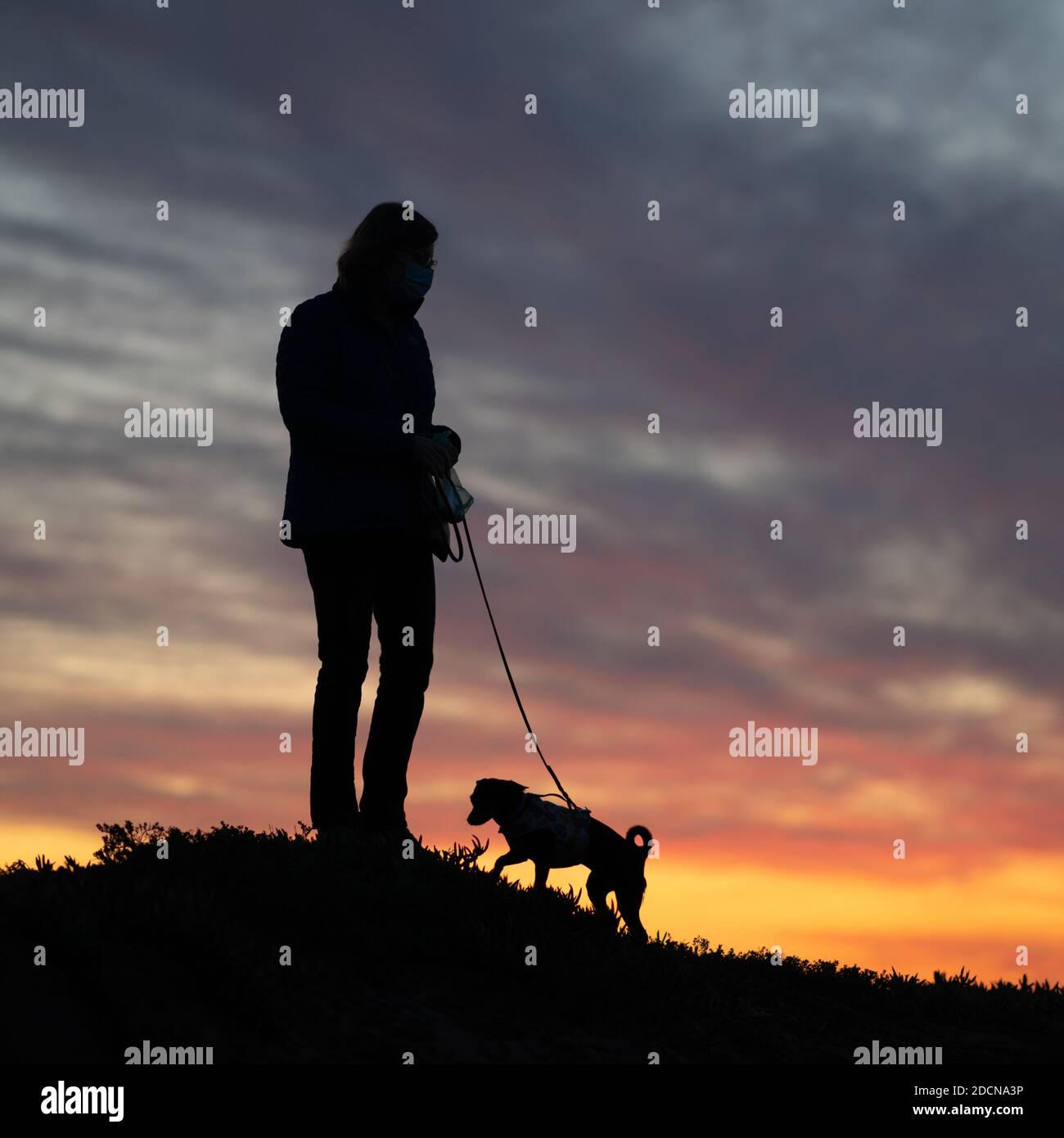Master and Dog in Silhouette Stock Photo