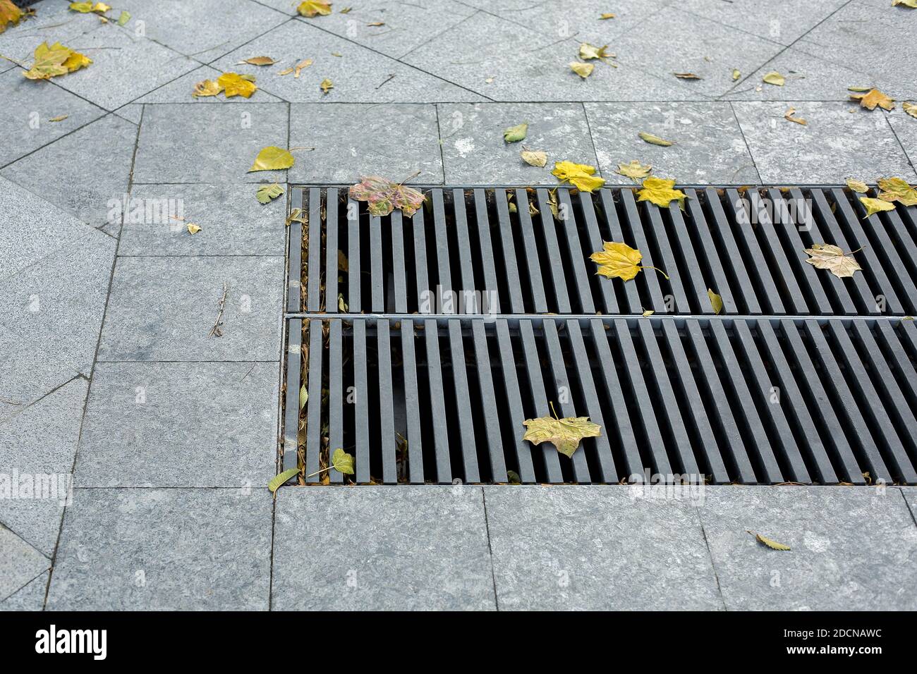 grating of the drainage storm system on the pedestrian park sidewalk