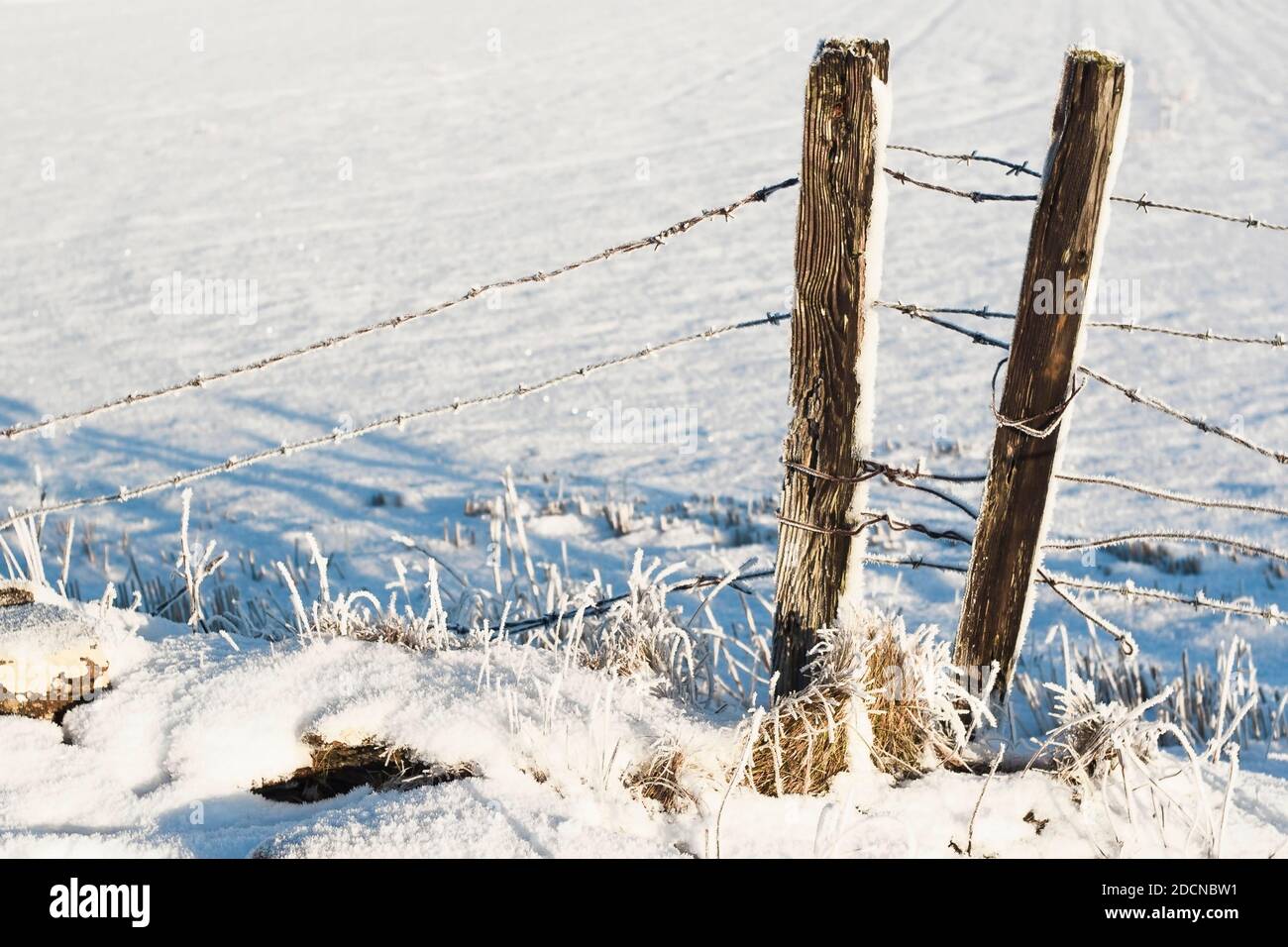 Fence post with wire in winter covered with fresh snow Stock Photo