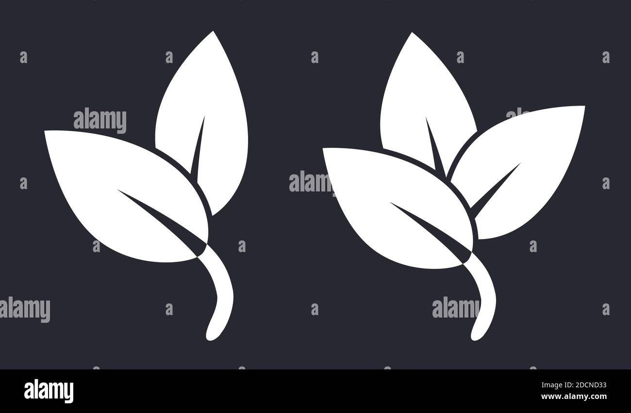 Branch with leaves symbols eco nature icons Stock Vector