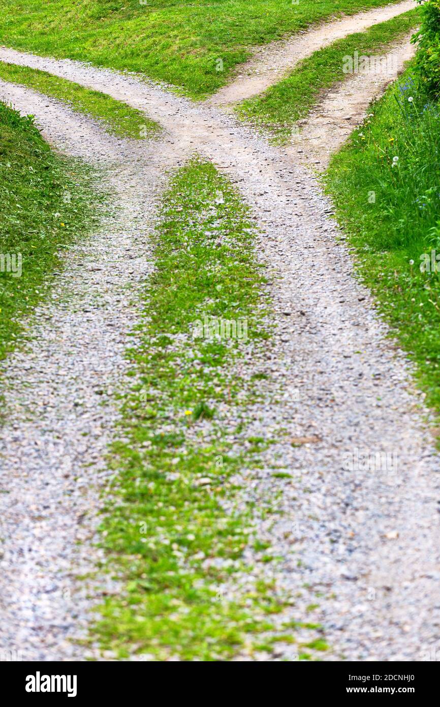 Rural road splitting in two directions in a sunny day Stock Photo