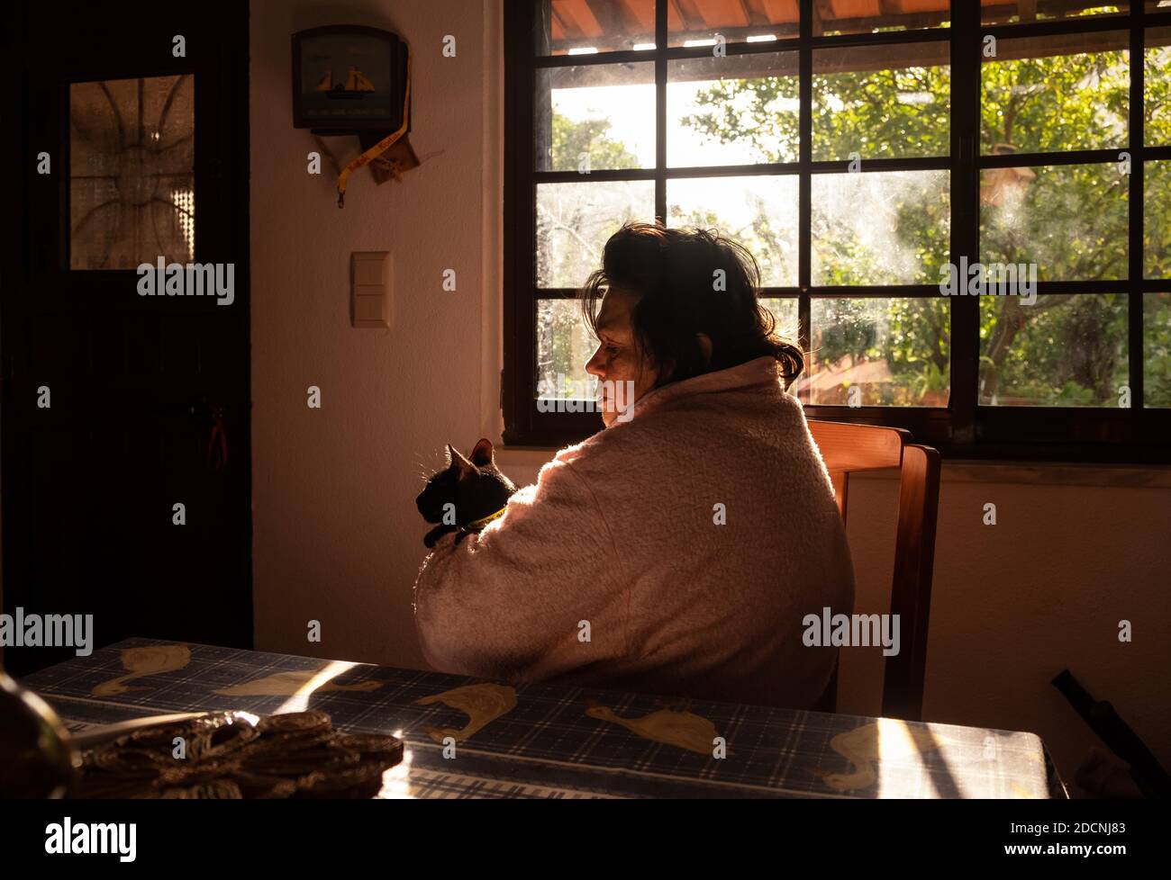 Elderly woman embracing her cat in her living room near a window, during 2020 home quarantine for coronavirus COVID-19 epidemic. Stock Photo