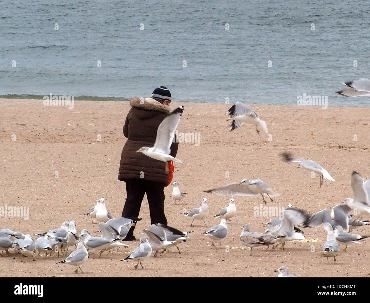 Coney island beach in 1903 hi-res stock photography and images - Alamy