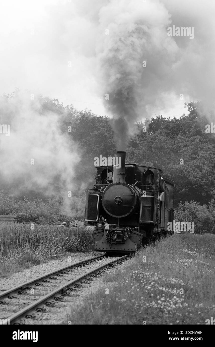 S.B.R. 'no.9' approaching Oak Tree Halt. 'Saccharine' is at the rear of the train. Stock Photo