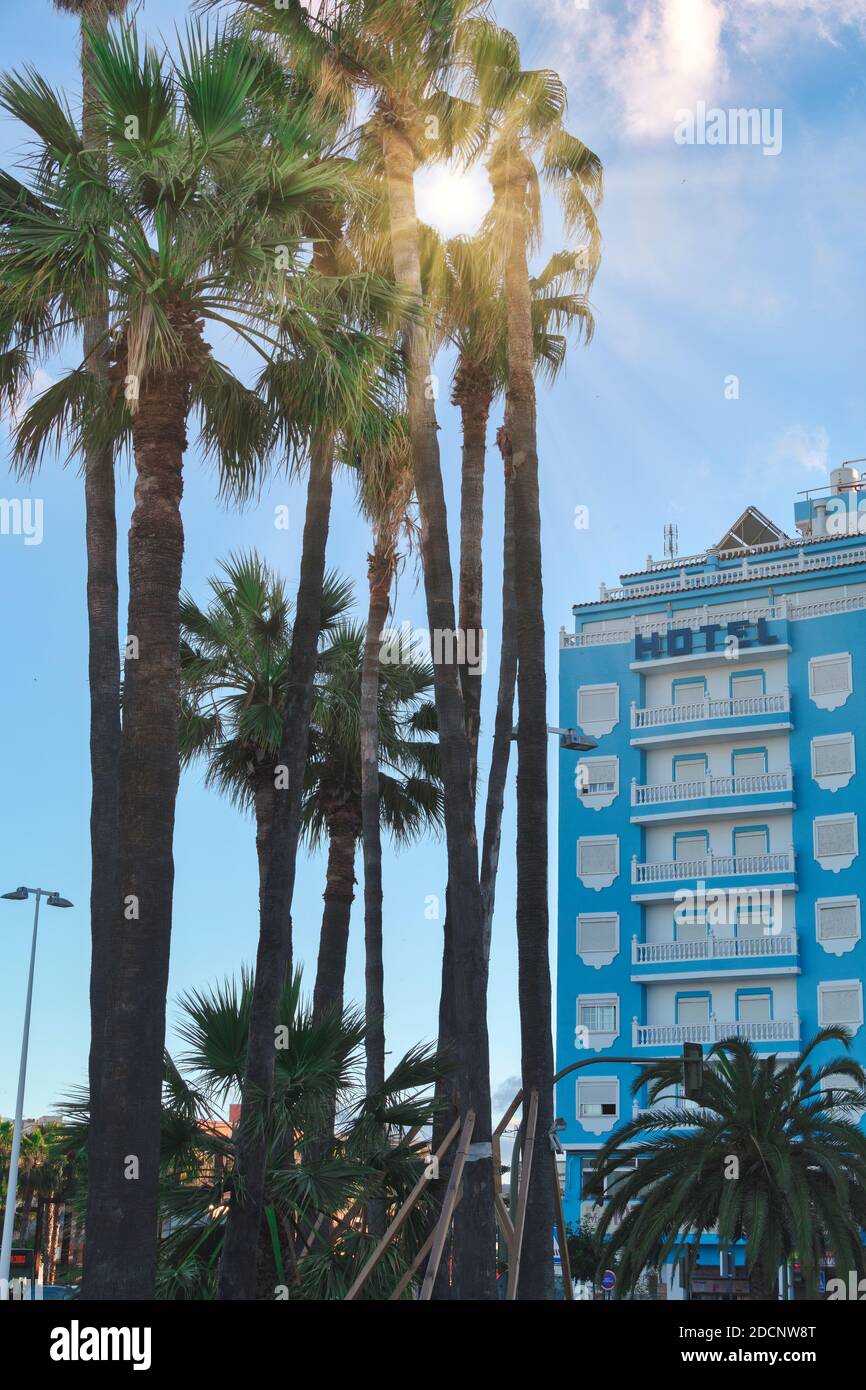 Sunlight Through Palm Tree High Resolution Stock Photography and Images ...
