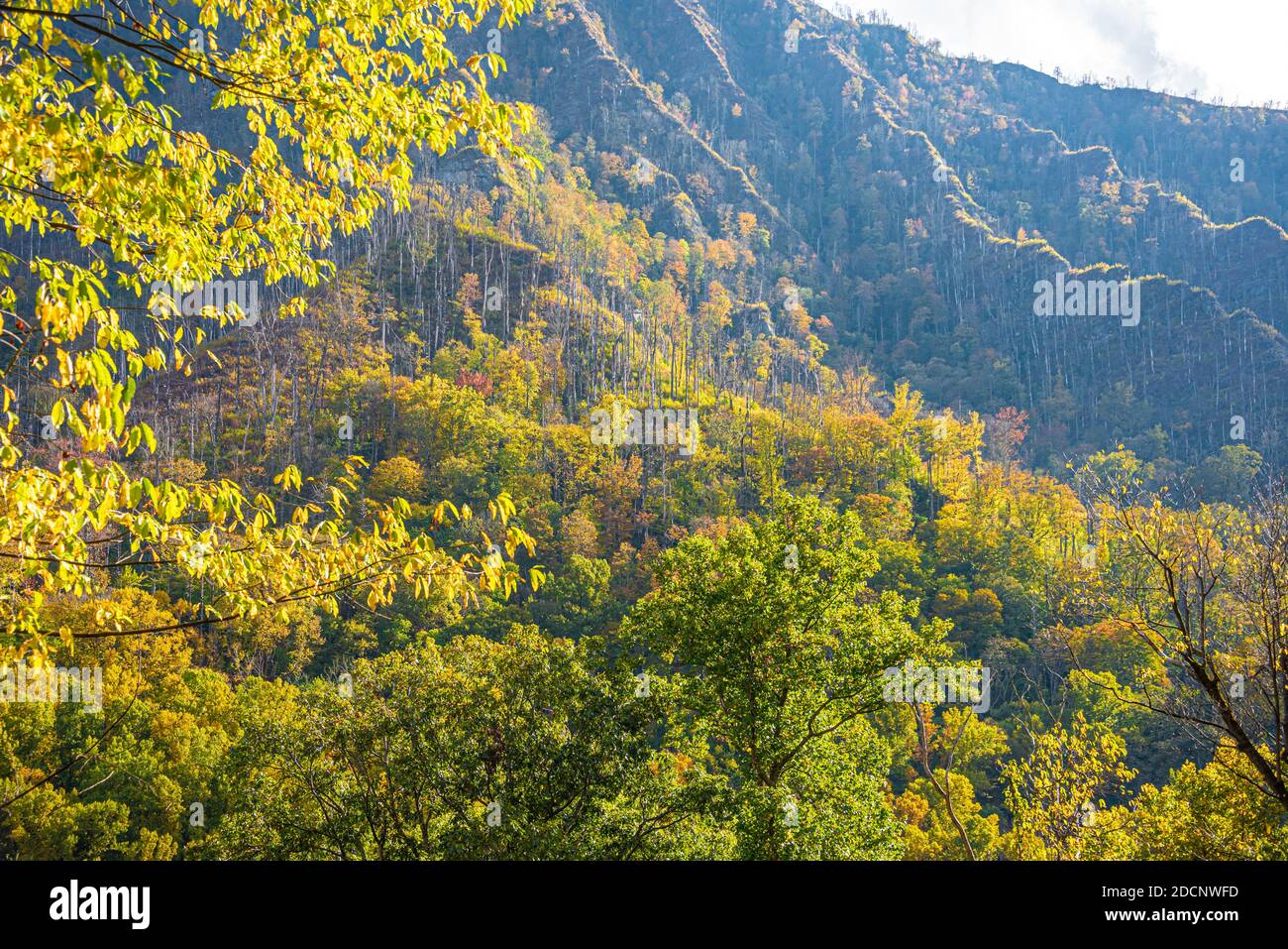 Great Smoky Mountains National Park autumn sunset near Gatlinburg, Tennessee. (USA) Stock Photo