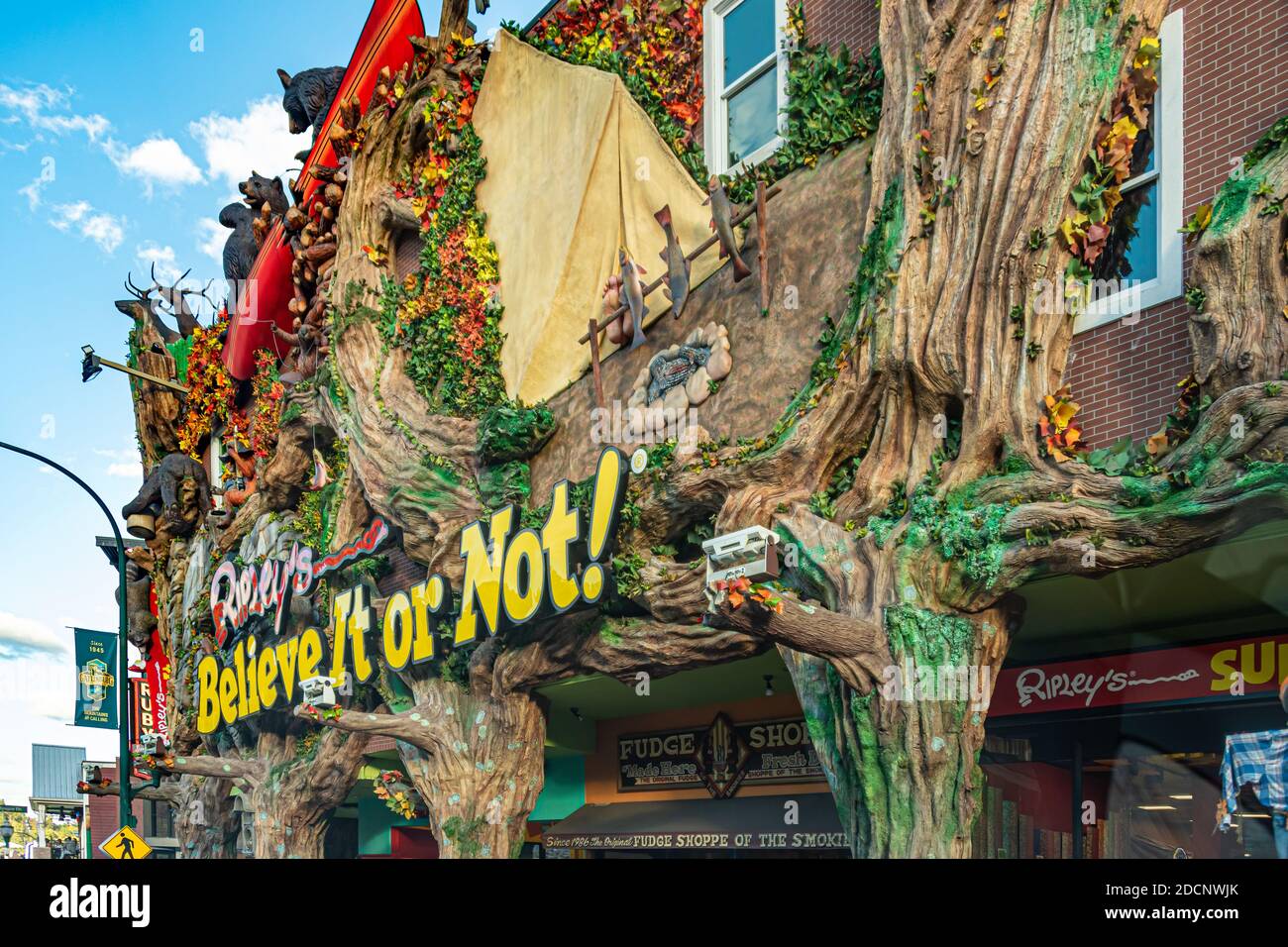 Ripley's Believe it or Not! in Gatlinburg, Tennessee. (USA) Stock Photo