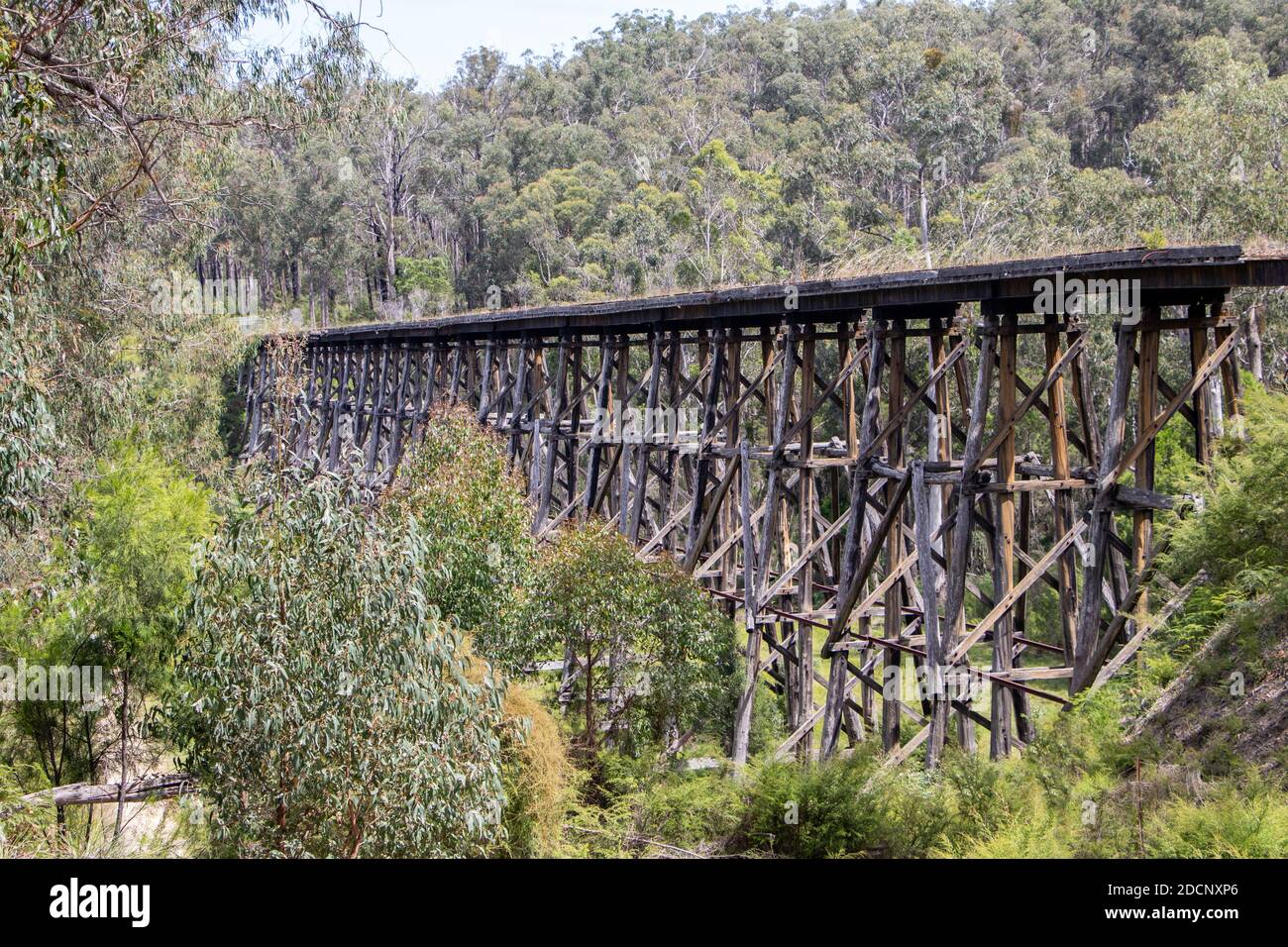 Wooden trestle bridge on the Orbost line, Australia Stock Photo Alamy