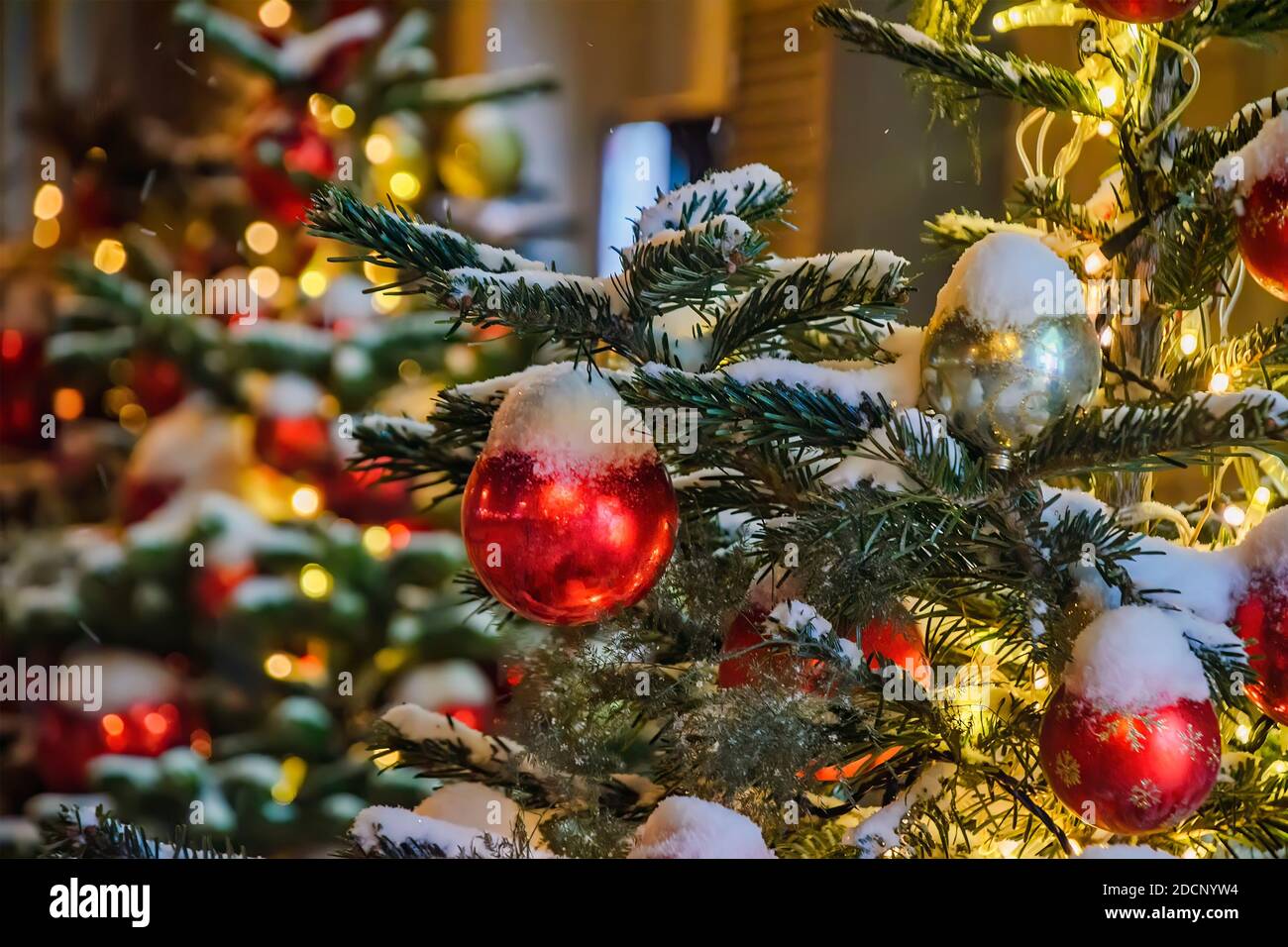 Christmas tree branch under the snow with red balloons Stock Photo - Alamy