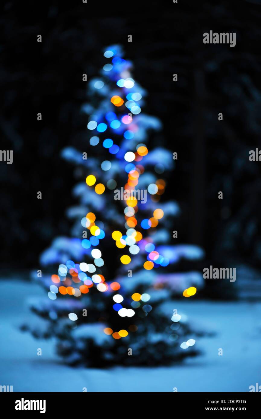 Defocused view of christmas tree Stock Photo