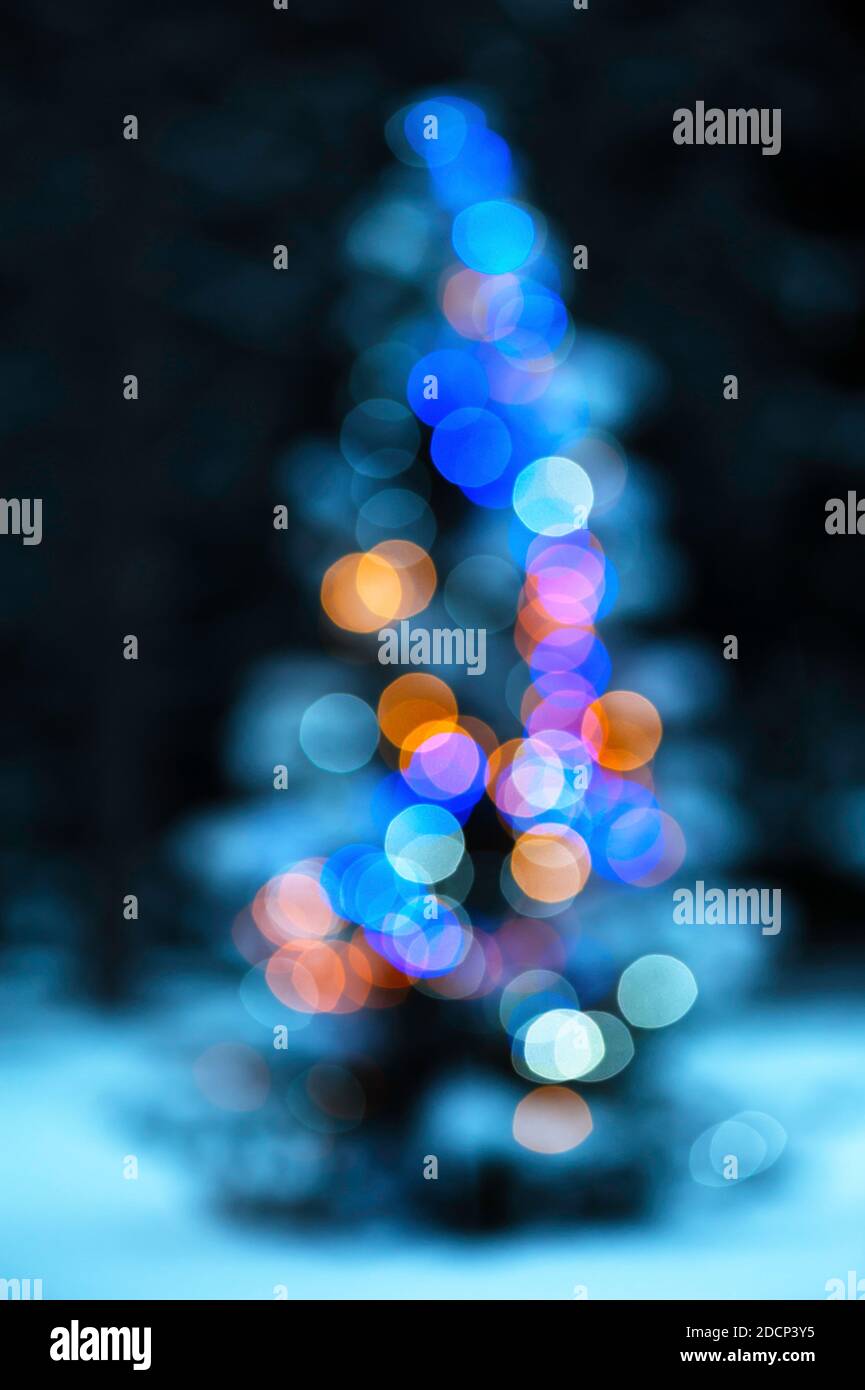 Defocused view of christmas tree Stock Photo