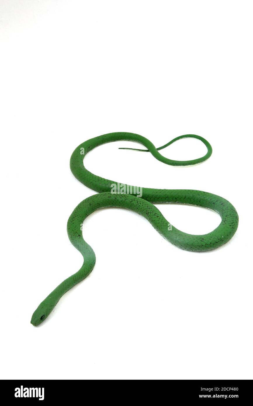Bed Snake - OCS - Vintage Toys main image 1