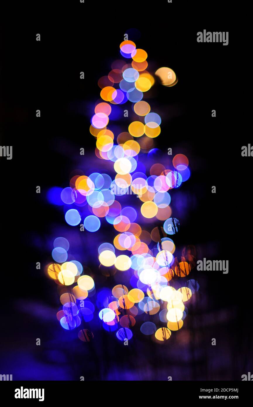 Defocused view of christmas tree Stock Photo