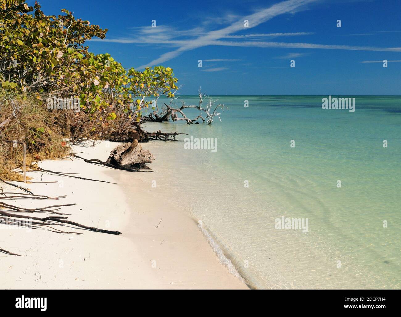 Tropical Beach On The Silver Trail In Bahia Honda State Park On A Sunny Autumn Day With A Clear Blue Sky And A Few Clouds Stock Photo