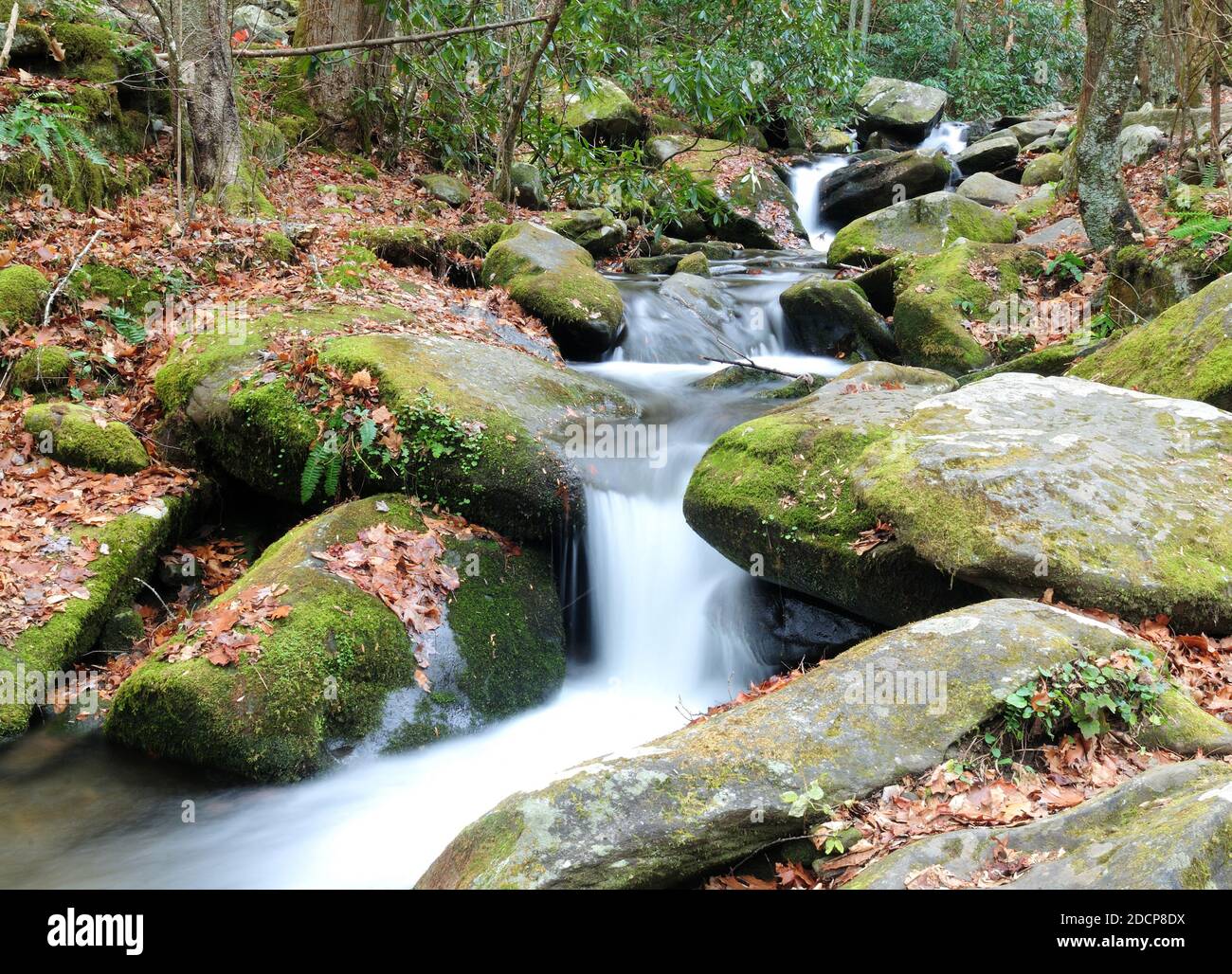 Long Time Exposure Of Flowing Water Of A Creek At Cherokee Orchard Road In Great Smoky Mountains National Park Tennessee On A Cloudy Autumn Day Stock Photo