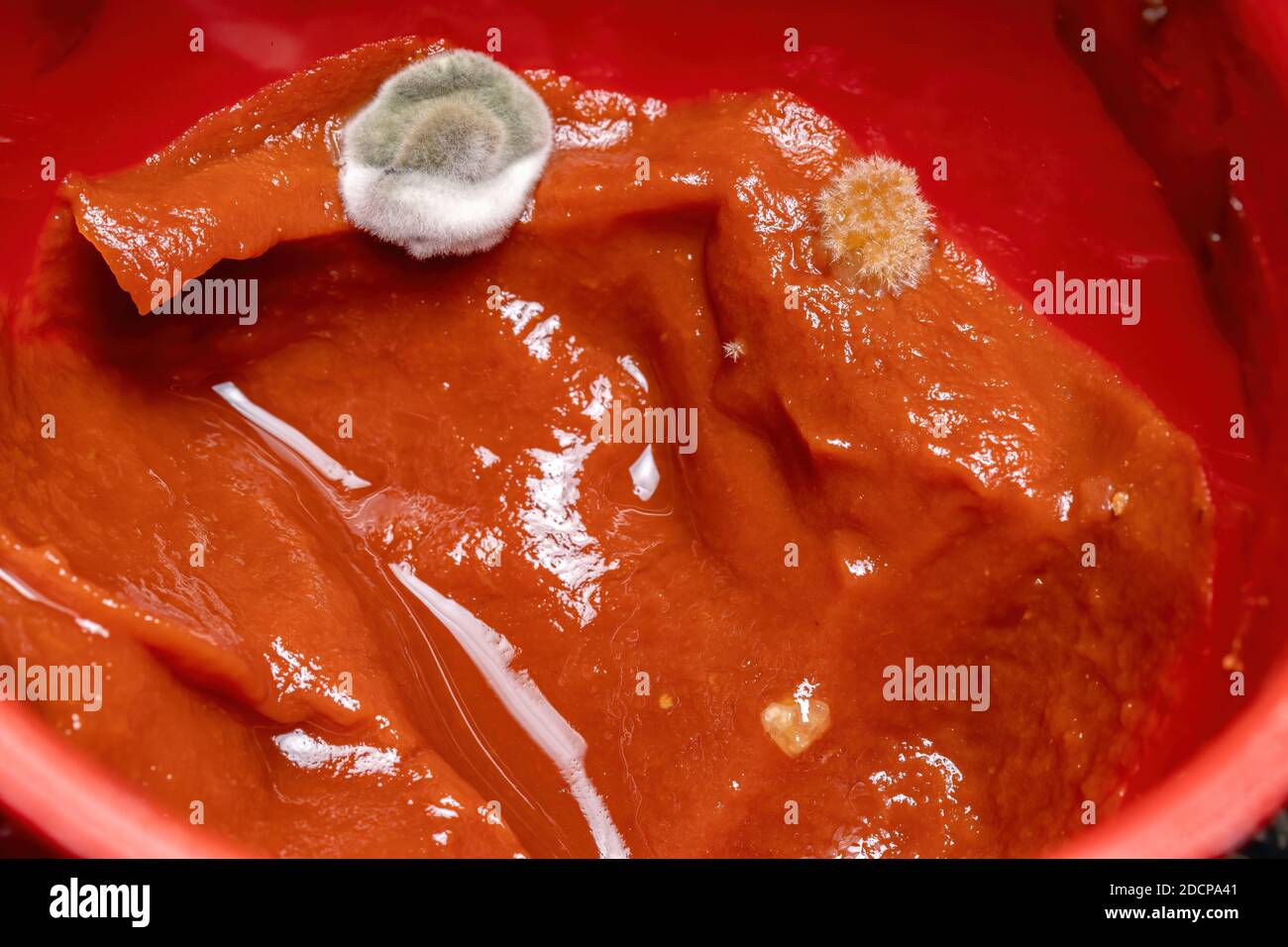 Moldy tomato sauce by fungi Stock Photo Alamy