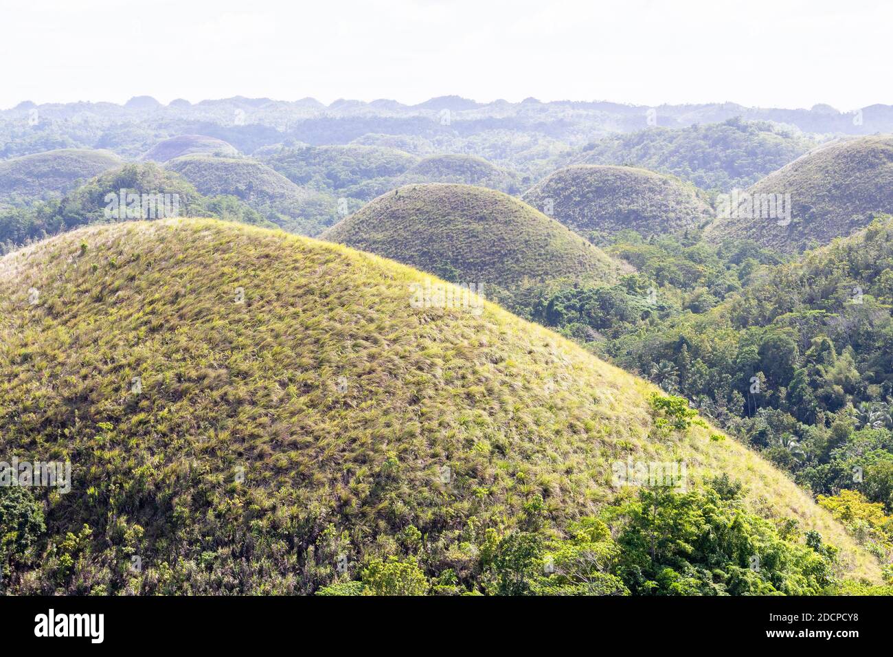 The chocolate hills of Bohol in the Philippines Stock Photo