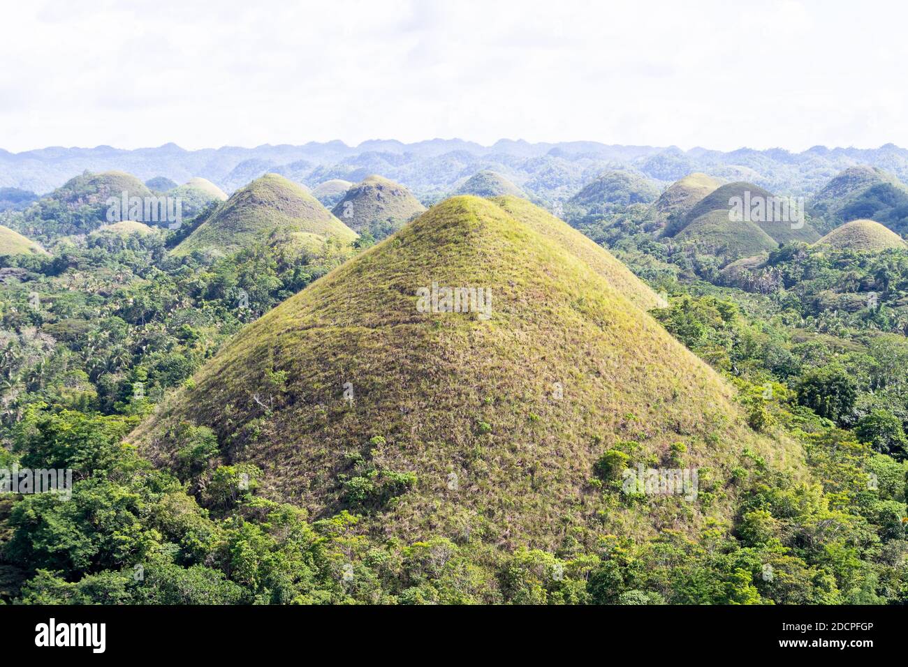 The chocolate hills of Bohol in the Philippines Stock Photo Alamy