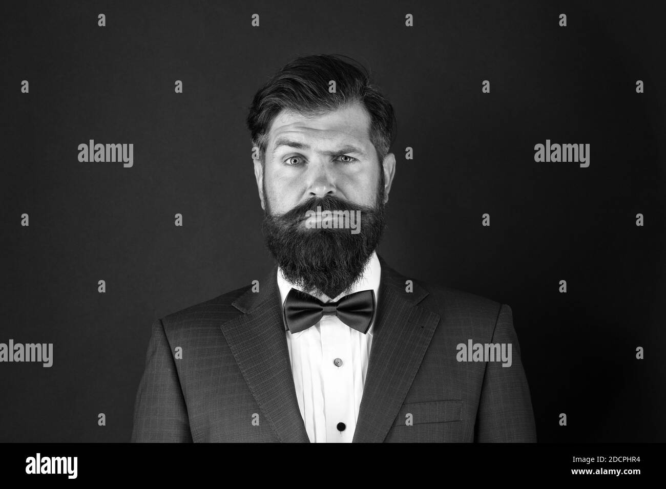 Classic Style Aesthetic Masculine Aesthetic Barber Hairdresser Make Male Grooming Simpler And More Enjoyable Well Groomed Man Beard In Suit Male Fashion And Aesthetic Businessman Formal Outfit Stock Photo Alamy